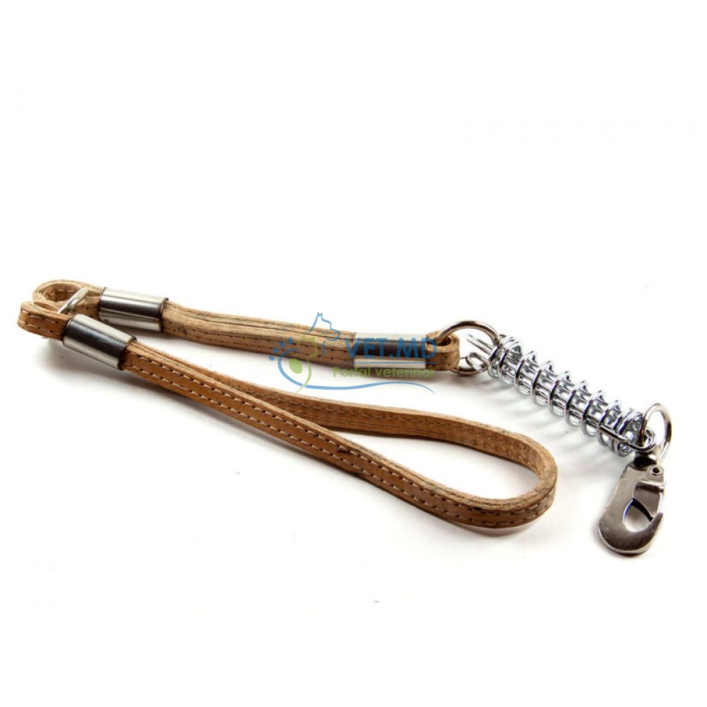 Lesa cu arc Piele 70cm